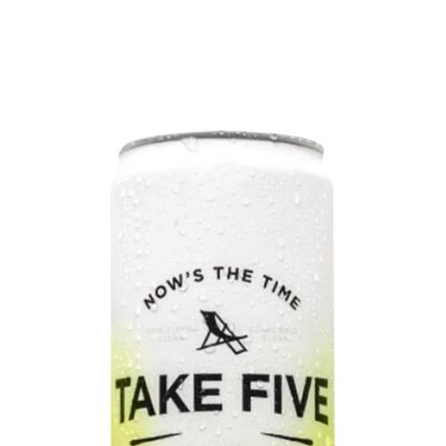 TAKE FIVE Lemon Lime Hard Seltzer 6-Pack 3 TAKE FIVE Lemon Lime Hard Seltzer 6-Pack - Image 3
